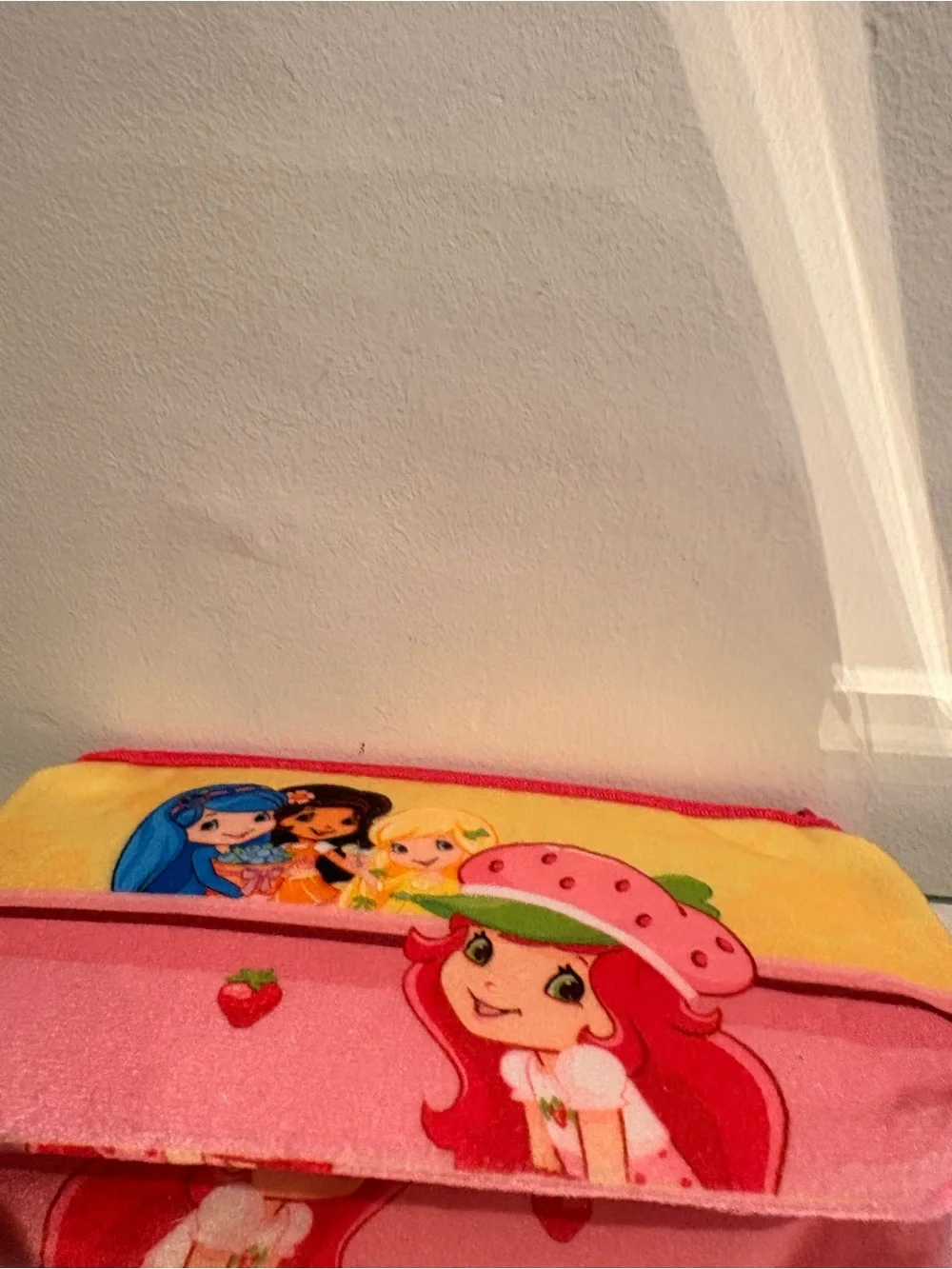 Strawberry shortcake and friends makeup or pencil case zip bag.